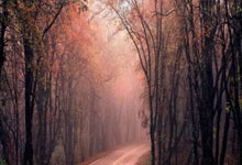 开云体育中国-摩洛哥瓦赫达中场控制加强，争取比赛主动权