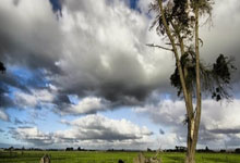 开云体育官方网站-决胜0.01毫米！马龙鏖战奥恰洛夫：东京球台下的钢铁意志之战