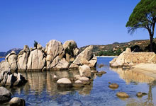 开云体育下载-塔斯马尼亚联球员团队氛围良好，备战世俱杯信心满满