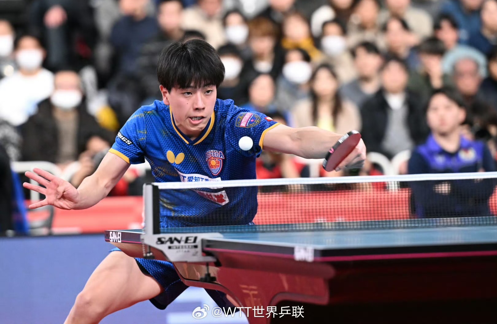 包含日本运动员多次上演精彩表演,引人瞩目的词条 包含日本运动员多次上演精彩表演,引人瞩目的词条