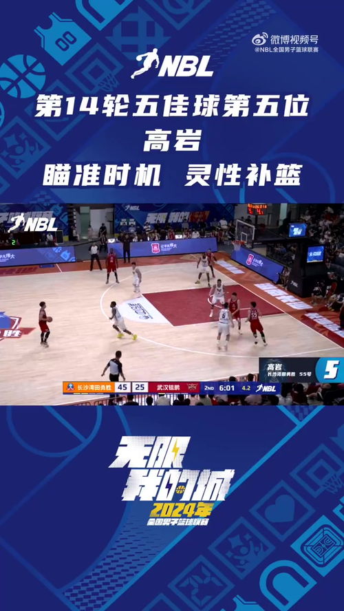 开云体育入口-国内篮球职业联赛热度高涨球迷狂热的简单介绍