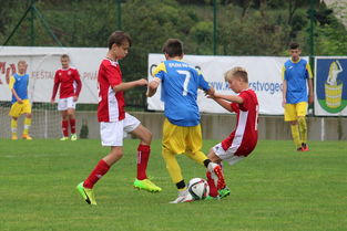 开云体育下载-塔斯马尼亚联新援适应良好，世俱杯表现备受期待