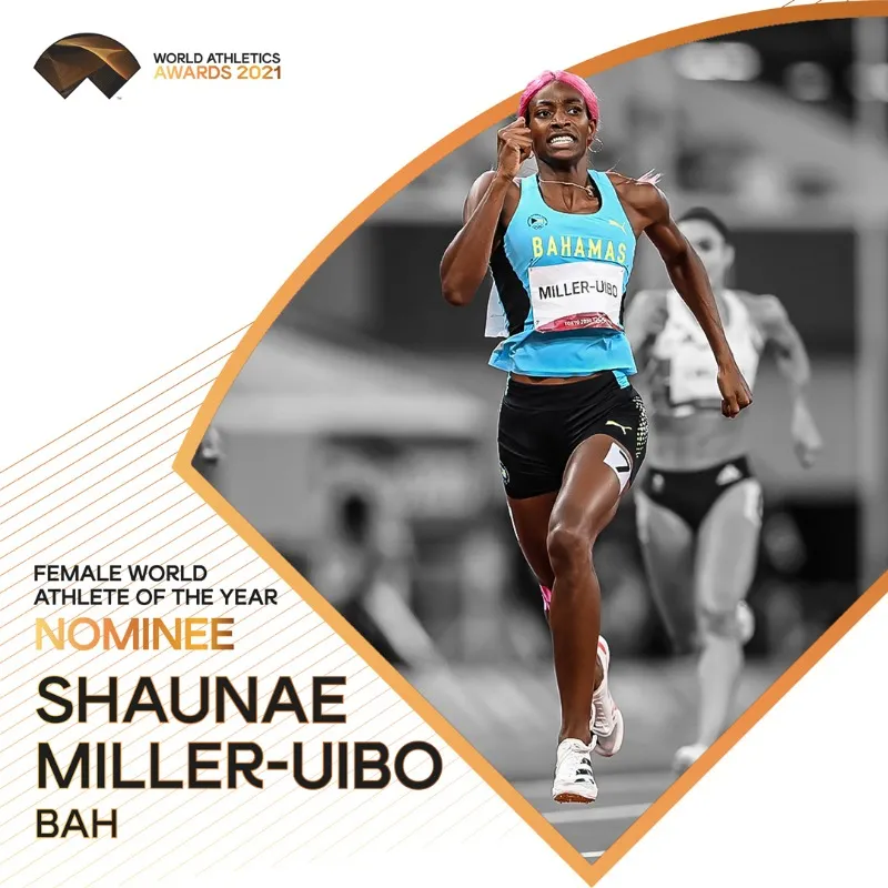 委内瑞拉男子游泳选手勇获金牌 委内瑞拉男子游泳选手勇获金牌