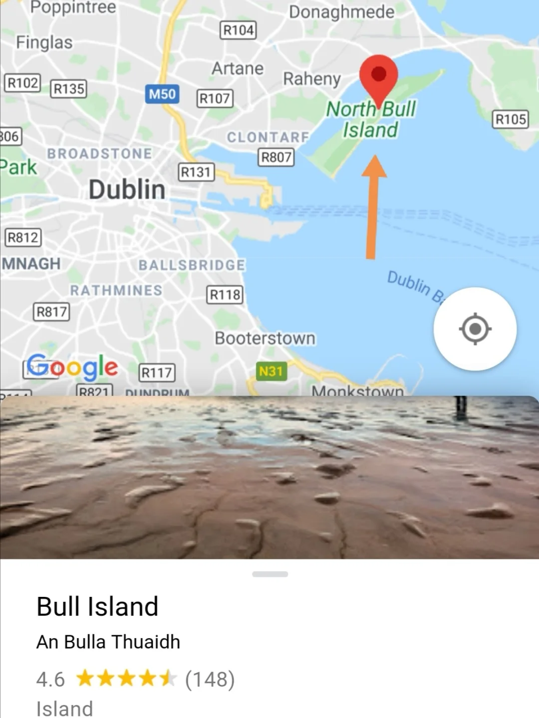 爱尔兰女子游泳创意突破，勇攀金峰