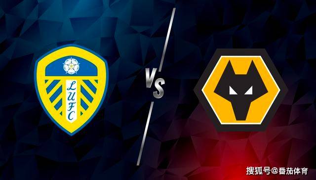 开云体育入口-狼队复兴，主场取胜收获宝贵三分