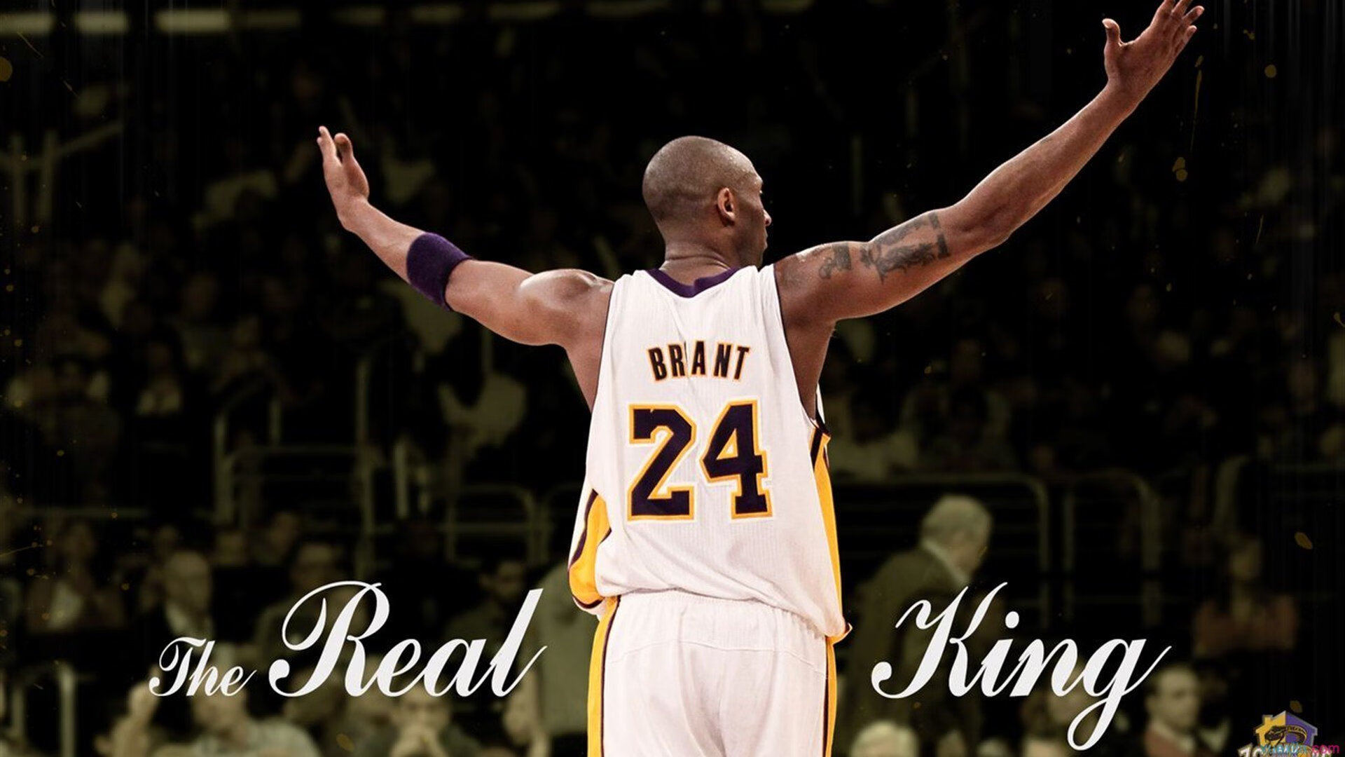 当菲尼克斯的余晖照亮伯纳乌，詹姆斯·哈登如何在西甲国家德比中太阳式冲垮鹈鹕防线